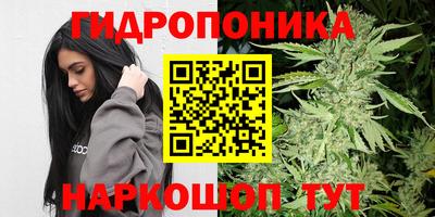 гидра Можга