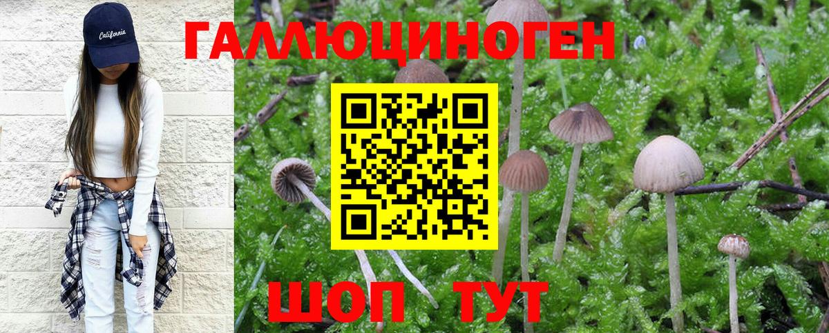Псилоцибиновые грибы Magic Shrooms Тимашёвск